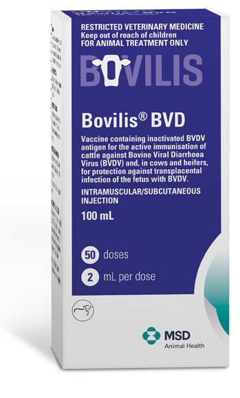 bovilis bvd msd