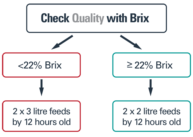 Check Quality with Brix CHART