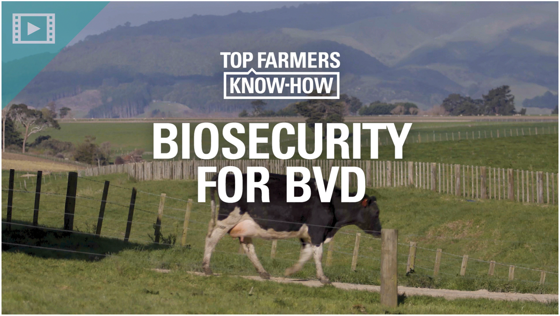 biosecurity for bvd cover