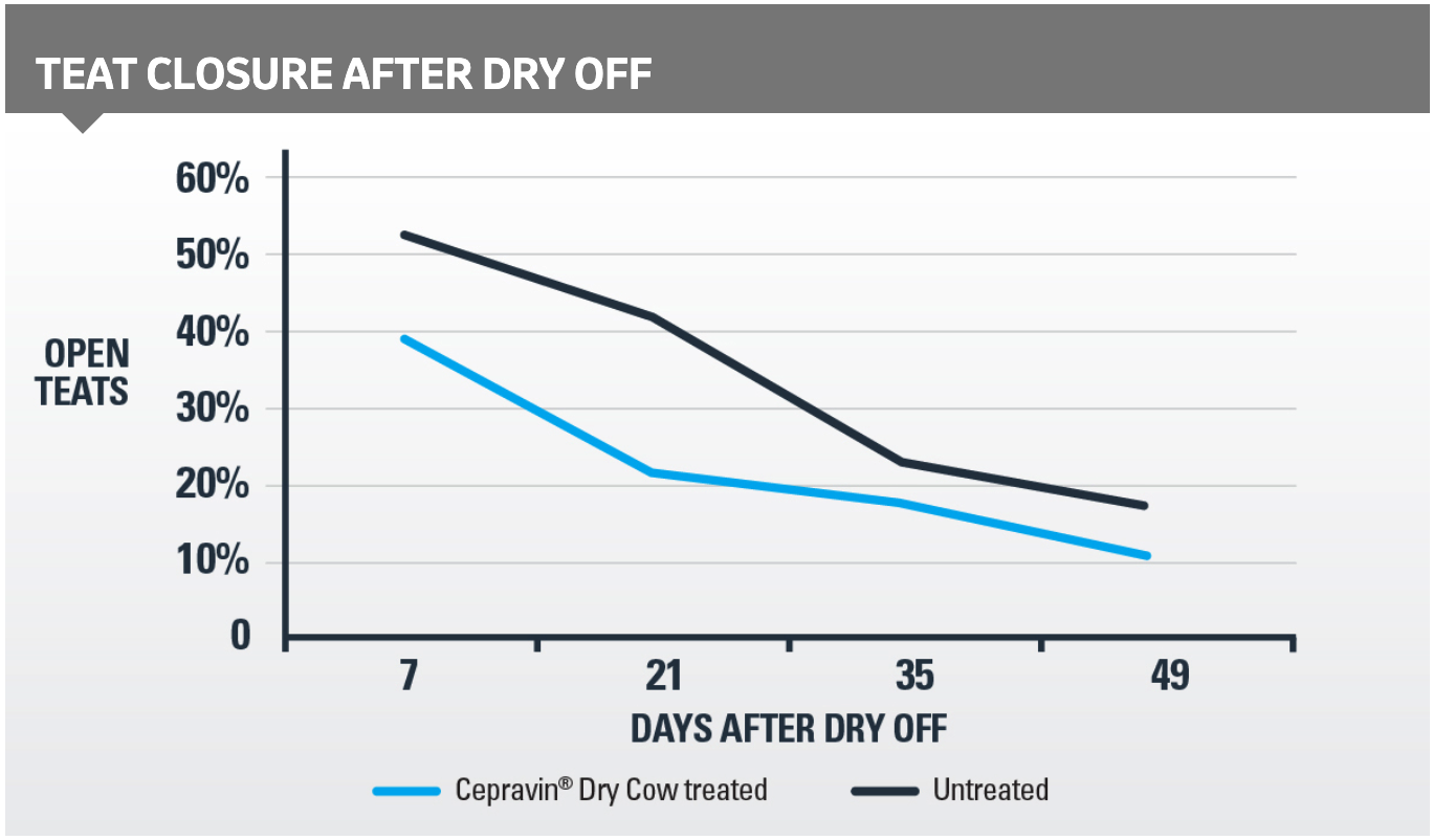 teat closure after dry off graph