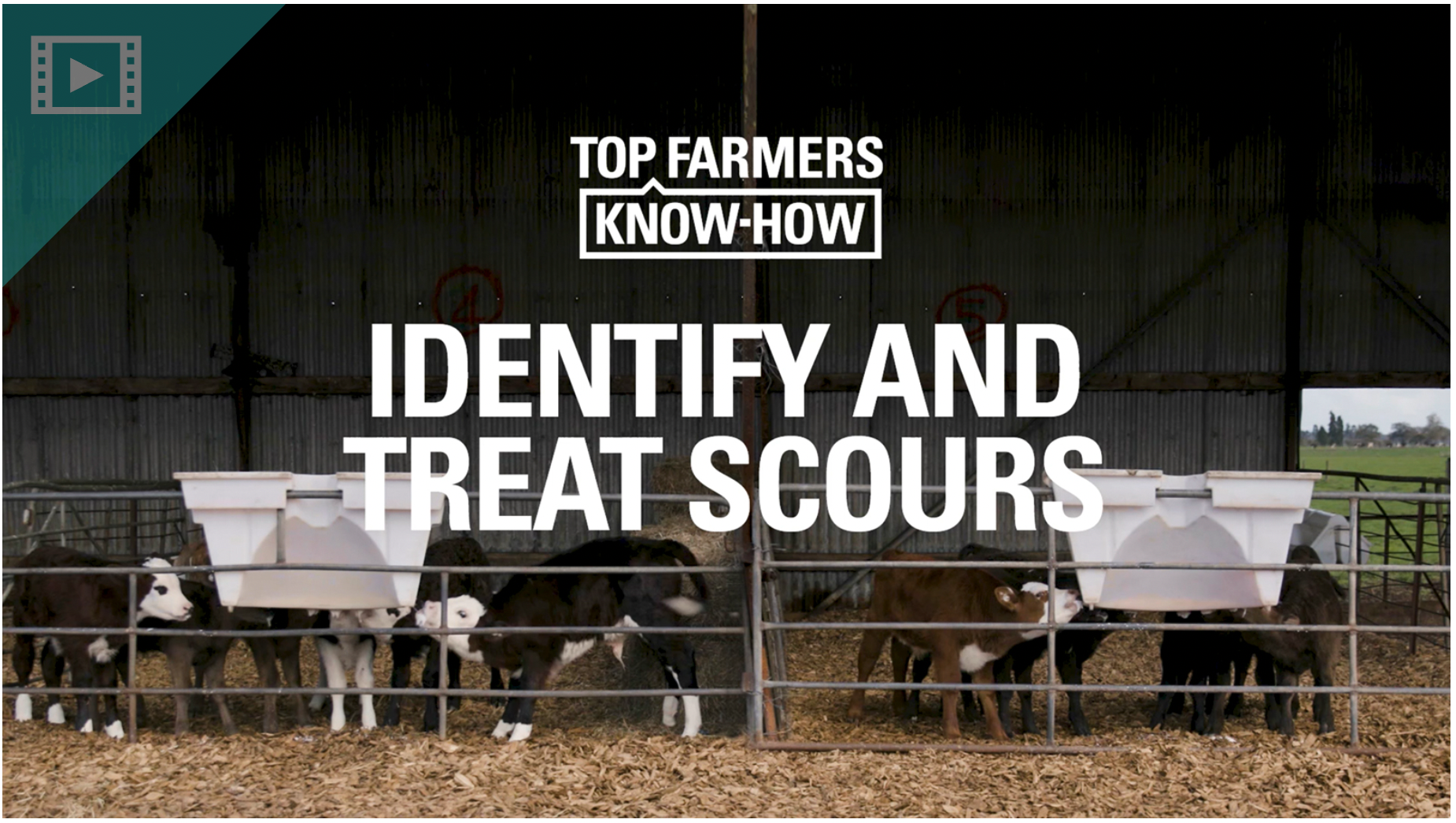 identify and treat scours cover