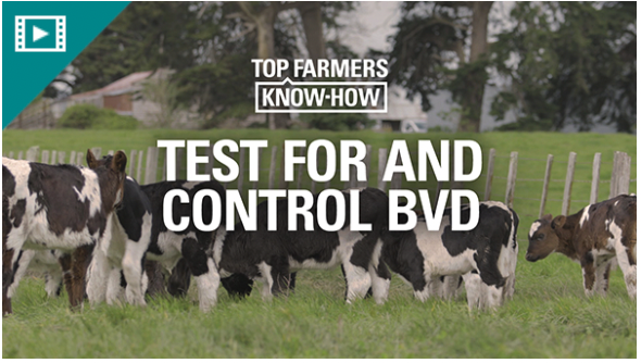 test for and control bvd cover