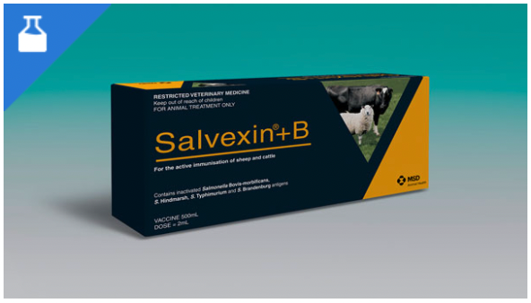 Salmonella vaccine for cattle and sheep