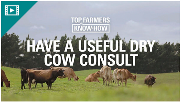 have a useful dry cow consult