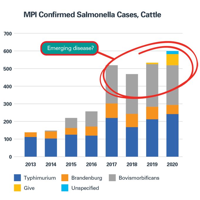 diagram of confirmed salmonella cases