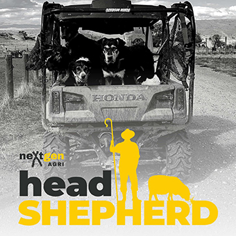 Head Shepherd Podcast