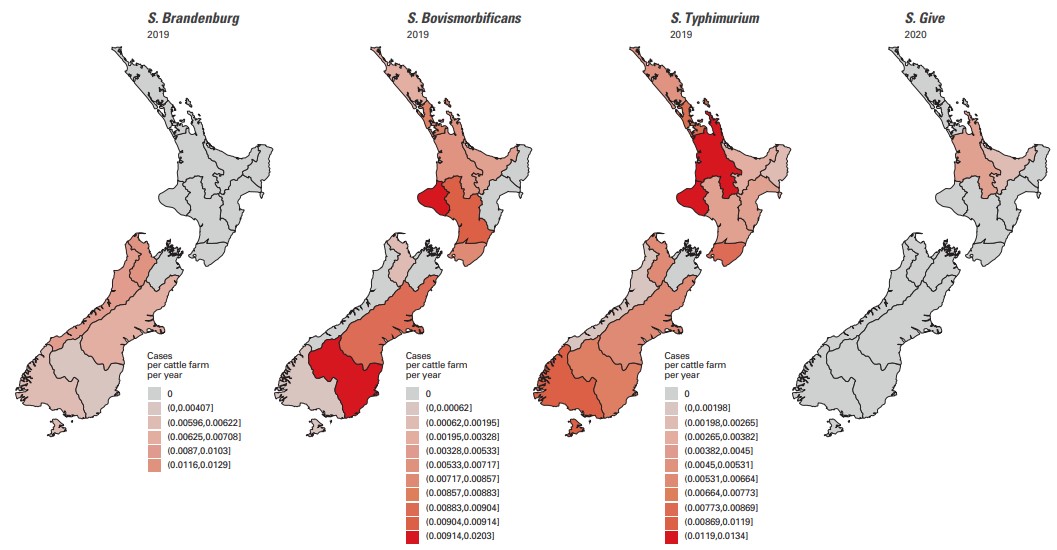 distribution of salmonella cases in NZ
