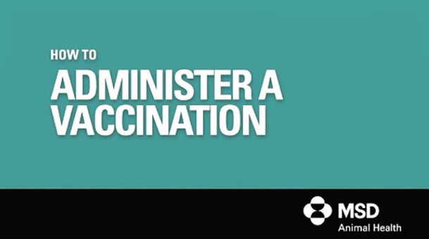 Administer a vaccination video