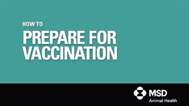 Prepare for vaccination video